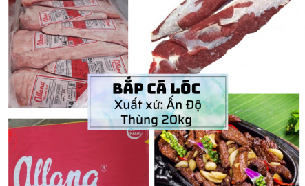 Bắp Cá Lóc Trâu Ấn Độ M64